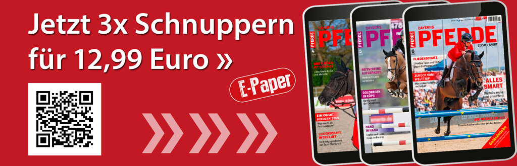 Eigenwerbung