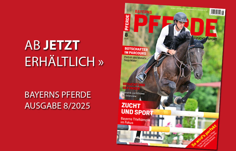 Home Einzelausgabe