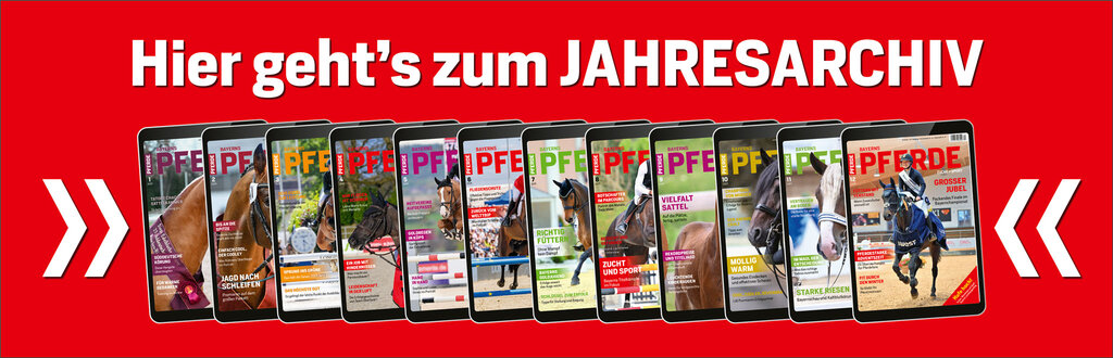 Landingpage Jahresarchiv BP