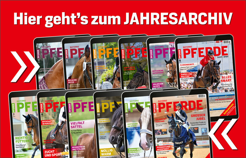 Landingpage Jahresarchiv BP