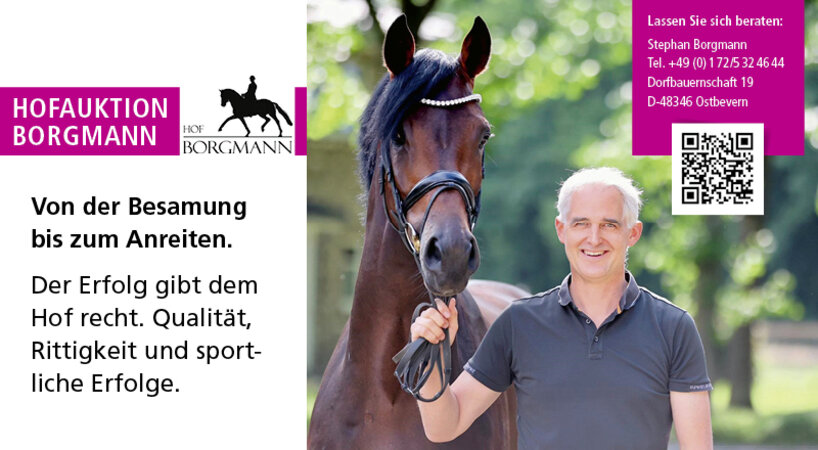 Borgmann