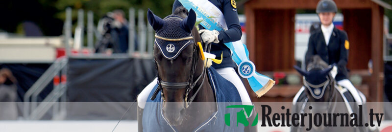 RjTV Turnierserien