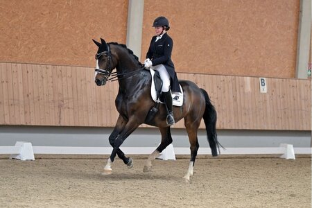 Christiane Schmid und Divero sind in guter Form. Foto: Dill (Archiv)