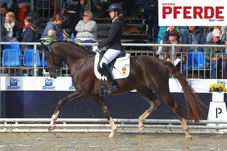 Benison sichert sich auch in diesem Jahr ein Finalticket. | Foto: Bischoff