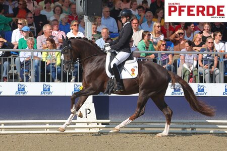 Benison sicherte sich im Schritt die Tageshöchstnote aller Finalisten. | Foto: Bischoff