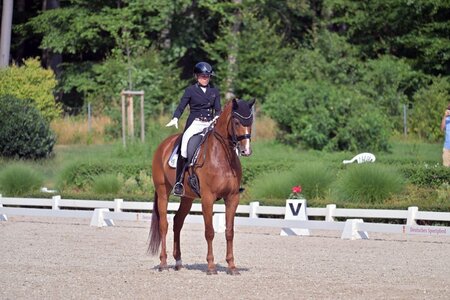 DSP Zampano und seine Reiterin Ramona Ritzel verbindet eine sehr enge Beziehung. | Foto (Archiv): Dill