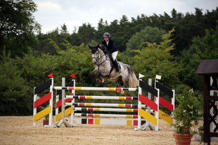 Das Siegerpaar: Julia Werner Mahoney und Air Maxx. Foto: Dill (Archiv)