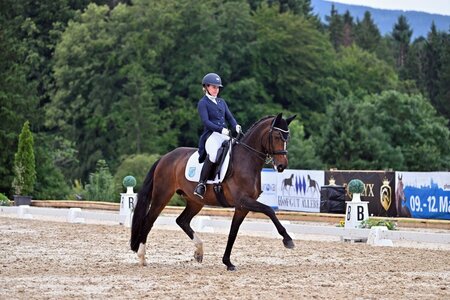 Als amtierende Landesmeisterin der Amateurdressurreiter reist Carolin Kilian nach Münster. | Foto: Dill