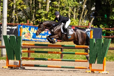 Emma Valeria Rusnak schnappte sich bei den Süddeutschen Ponymeisterschaften den Titel. | Foto: Sandra Böhling
