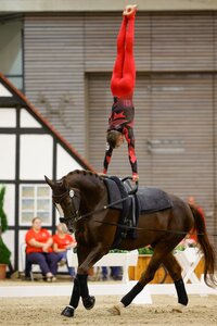 Julian Wilfling hielt auch im Technikprogramm mit der Spitze mit und turnte sich bei den Deutschen Meisterschaften zu Platz drei. | Foto: Julian Spilker
