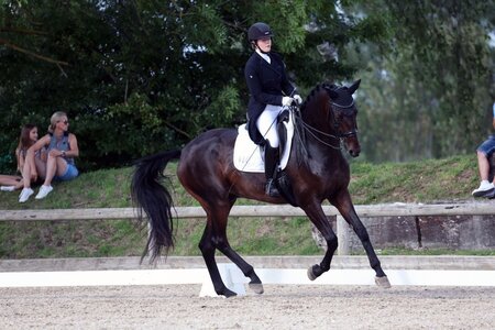 Auch in Holzkirchen waren Jula Ohms und Zaphir siegreich. Foto: Dill