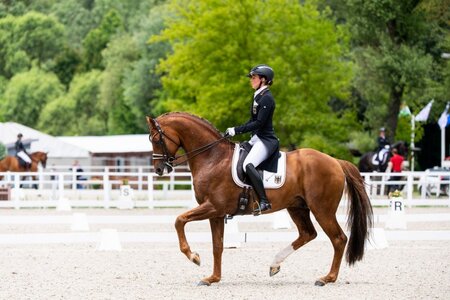 Foto (Archiv): FEI/Lukasz Kowalski