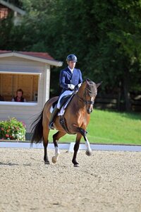 Franz Trischberger und sein DSP James Bond setzten sich im Grand Prix von Ornago mit neuer persönlicher Bestmarke an die Spitze. | Foto (Archiv): Dill