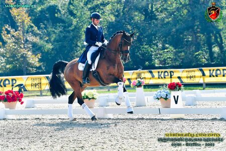Franz Trischberger und sein DSP James Bond knackten in der Grand Prix Kür von Ornago erstmals international die 80-Prozentmarke. | Foto: privat