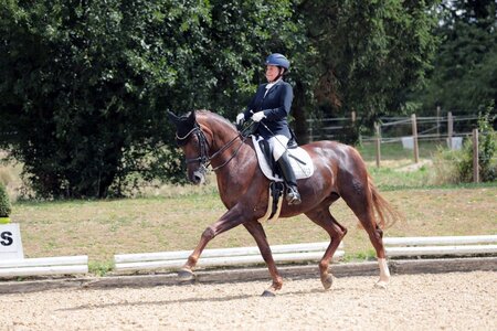 Gerdi Rakelbusch und Bezaubernde Bonny haben eine erfolgreiche Saison. Foto: Dill