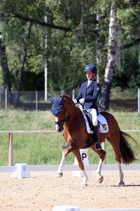 Lilith Kirchner wird im Finale des Bundesnachwuchschampionats Pony die bayerischen Farben vertreten. | Foto (Archiv): Dill