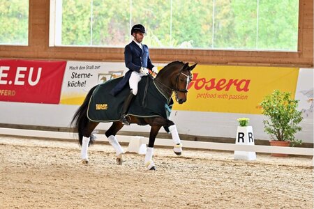 Franz Trischberger und Sarotti knackten bei der letzten Qualifikation des IWEST Dressur Cups die magische 80-Prozentmarke. | Foto: Dill