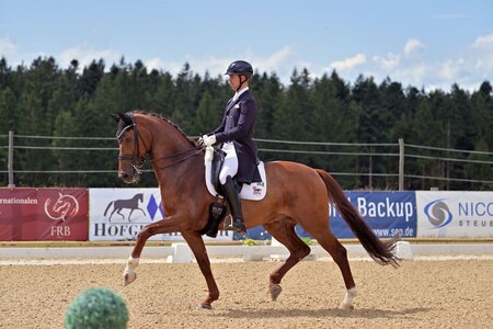 Benjamin Werndl und sein Discover lieferten bei der letzten Finalqualifikation zum Louisdor-Preises starke Runden. | Foto (Archiv): Dill