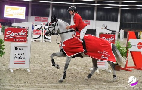 Jörne Sprehe und Hickstead White gewinnen den Großen Preis von Linz. Foto: Social Media