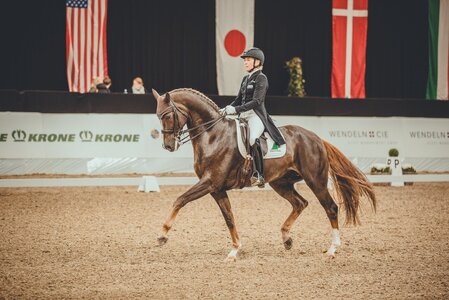 Ingrid Klimke trabte mit EQUITANA\'s Firlefranz zum Sieg im DERBY Stars von Morgen Halbfinale NORD. | Foto: Equovis