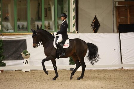 Benjamin Werndl und sein Famoso OLD zeigten sich im Grand Prix von Ising in starker Form. | Foto: D. Matthaes