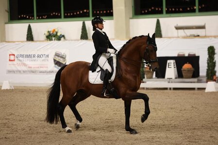 Yara Reichert feierte in der Einlaufprüfung DERBY Stars von Morgen einen starken Doppelsieg. | Foto: D. Matthaes