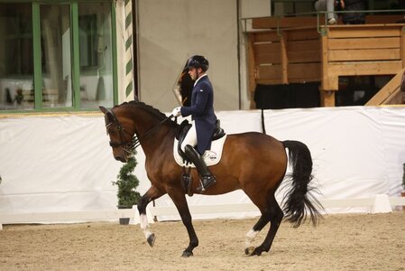 Franz Trischberger und sein DSP James Bond knackten in der Grand Prix Kür von Gut Ising zum dritten Mal in Folge die 80-Prozentmarke. | Foto: D. Matthaes