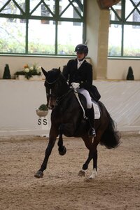 Max Wadenspanner galoppierte mit Heathrow zum überlegenen Sieg. | Foto: D. Matthaes
