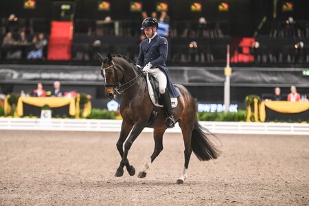 Franz Trischberger siegt in der Einlaufprüfung zum Finale IWEST Dressur Cup. | Foto: TomsPic