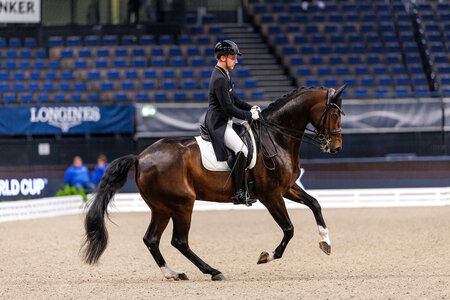 Guter Auftakt: Thomas Trischberger reihte sich mit Liverpool in der Einlaufprüfung zum Finale des Piaff-Förderpreises auf Platz drei ein. | Foto: Lafrentz