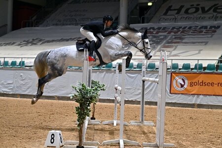 Marcel Neukirch sprang mit Oilily zum S-Sieg. | Foto: Dill