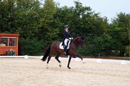 Jessica von Bredow-Werndl und Got it BB feierten einen weiteren S***-Sieg. | Foto (Archiv): Dill