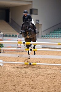 Isabel Maier freute sich beim Kreuther Springturnier über ihren ersten S-Sieg. | Foto: Dill