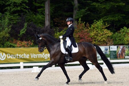 Alexandra Sessler und DSP Dun Dee trabten im Grand Prix von Stadl-Paura zum Sieg. | Foto (Archiv): Dill