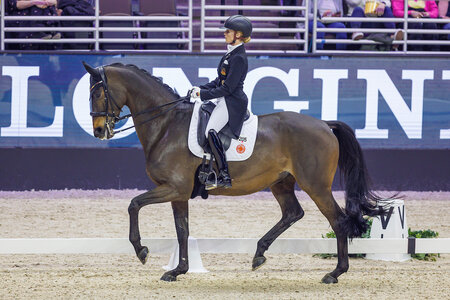 Jessica von Bredow-Werndl und Dalera siegen im Top 10 Dressage Grand Prix in Stockholm. | Foto (Archiv): Lafrentz