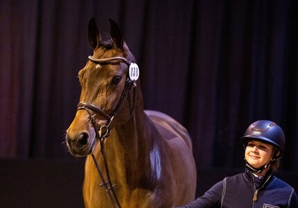 Casabea Blue PS wurde zur Preisspitze der 44. PSI-Auktion.