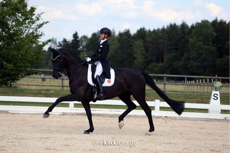 Jessica von Bredow und Forsazza de Malleret können beim Finale des Louisdor-Preises nicht starten. | Foto: Dill