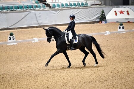 Lisa Grupen freute sich mit dem Westfalen Friedemann über Top-Platzierungen. | Foto: Dill