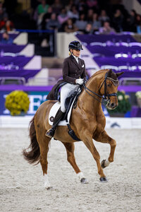 Yara Reichert punktete sich mit Springbank zu Platz zwei. | Foto: Lafrentz