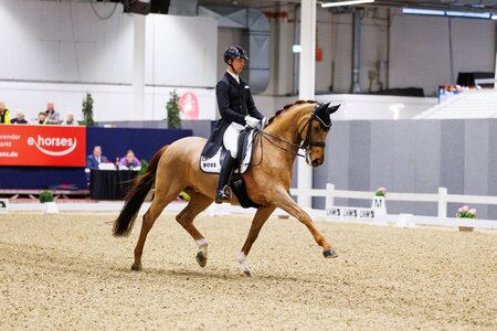 Benjamin Werndl und Discover überzeugten in der heutigen Qualifikation zum DERBY Stars von Morgen Finale. | Foto: Denise Gehltomholt