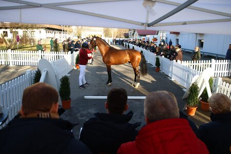 Am Donnerstag stand zunächst der Auftritt auf dem Pflaster für die Körkandidaten auf dem Programm. Foto: LL-Foto