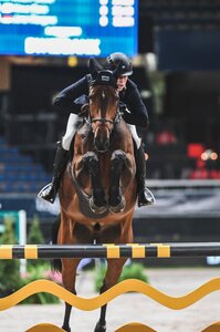 Max Kühner startet gut ins Weltcup-Turnier von Amsterdam. | Foto (Archiv): D. Matthaes