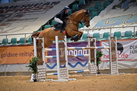 Mit viel Platz zu den Sprüngen flogen Sabrina Berger und ihr Fuchs zum Sieg. Foto: Dill