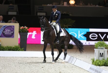 Dr. César Parra und Van the Man beim Weltcup Finale in Lyon | © Lafrentz