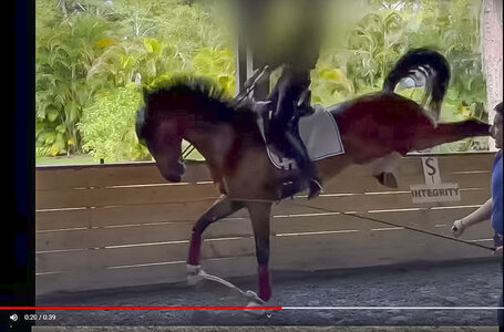 Screenshot nach einem Youtube Video das Dr. César Parra in Aktion zeigt