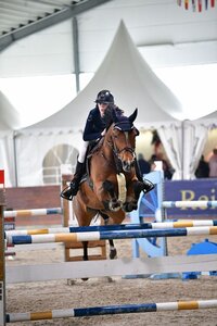 Philippa Walischewski blieb mit ihrer zehnjährigen Stute Kristaly Of Luhov fehlerfrei und siegte.  | © Dill