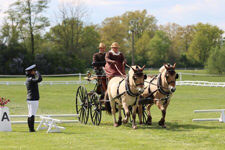 Veronika Kirmaier erreichte mit Damian und Mara Rang drei in der Dressur. | © Herbert Rauser