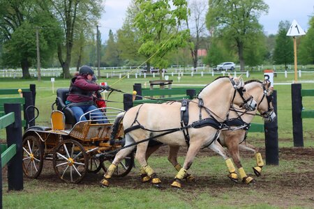 Veronika Kirmaier im Marathon.  | © Foto: Herbert Rauser