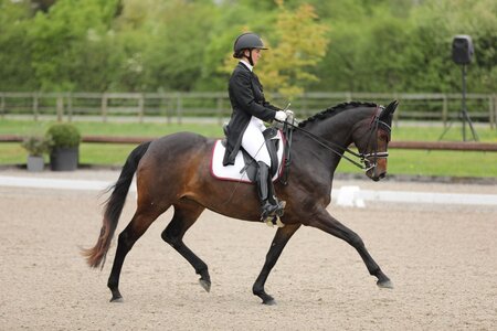 Hakuna Matata H.S. unter Bettina Meijs. Jetzt erreichten sie ihren ersten gemeinsamen Sieg in der schweren Klasse. | © Dill