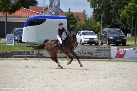 Die  bayerische Amazone Giuliana Angerer ist erfolgreich mit verschiedenen Pferden. | © Fotoagentur Dill